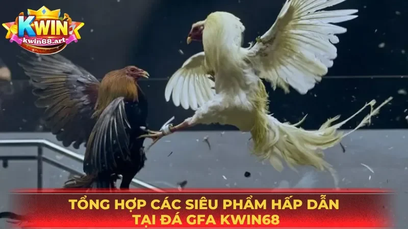 Đá gà Kwin68 với cựa dao siêu bén